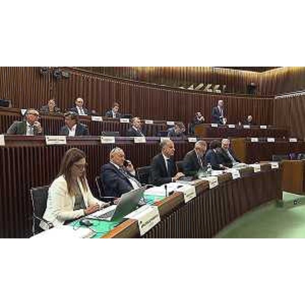 L'aula durante i lavori - L'aula durante i lavori