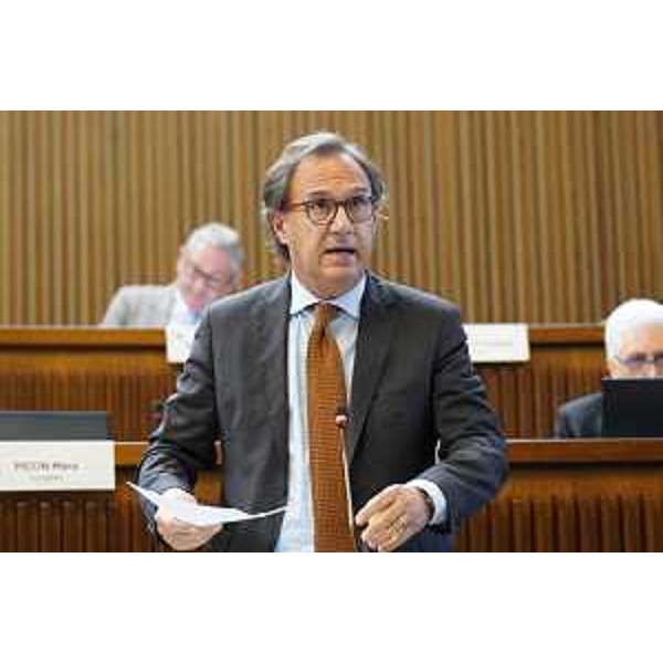 Mauro Di Bert (PrFvg/Ar) - Mauro Di Bert (PrFvg/Ar)