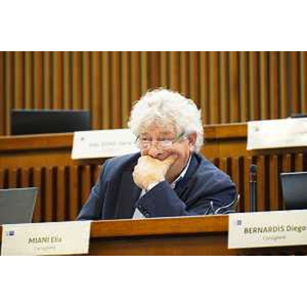 Elia Miani (Lega) - Elia Miani (Lega)