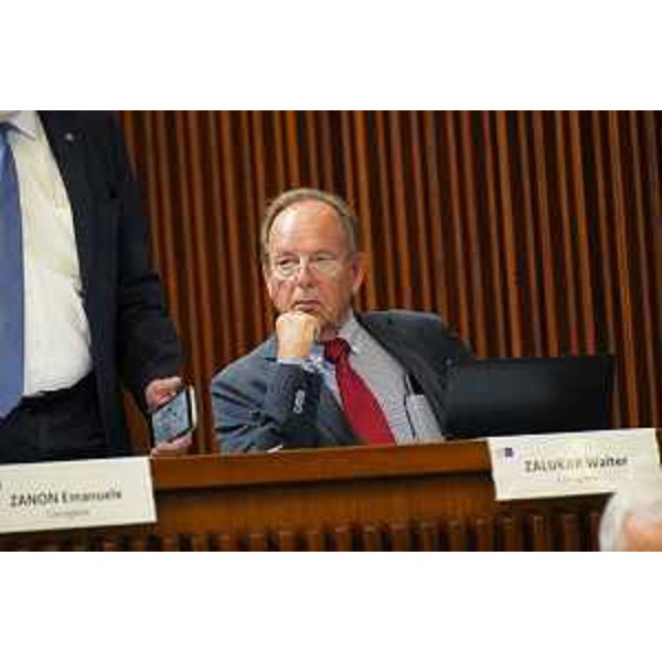 Walter Zalukar (Gruppo Misto) - Walter Zalukar (Gruppo Misto)