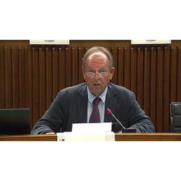 Walter Zalukar (Gruppo Misto) - Walter Zalukar (Gruppo Misto)