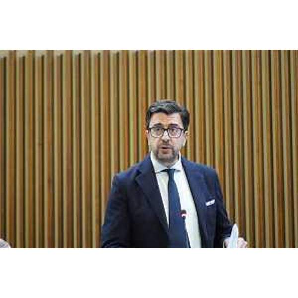 Mauro Capozzella (M5S) - Mauro Capozzella (M5S)