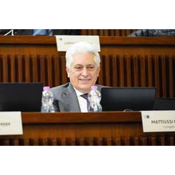 Franco Mattiussi (Forza Italia) - Franco Mattiussi (Forza Italia)