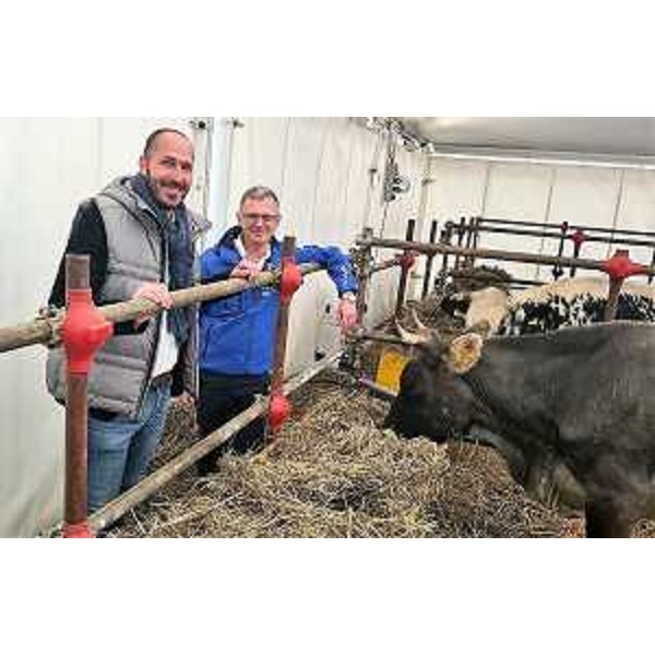 La visita dell'assessore regionale Stefano Zannier alla manifestazione "Formaggio e dintorni" in corso di svolgimento a Gemona. - La visita dell'assessore regionale Stefano Zannier alla manifestazione "Formaggio e dintorni" in corso di svolgimento a Gemona.