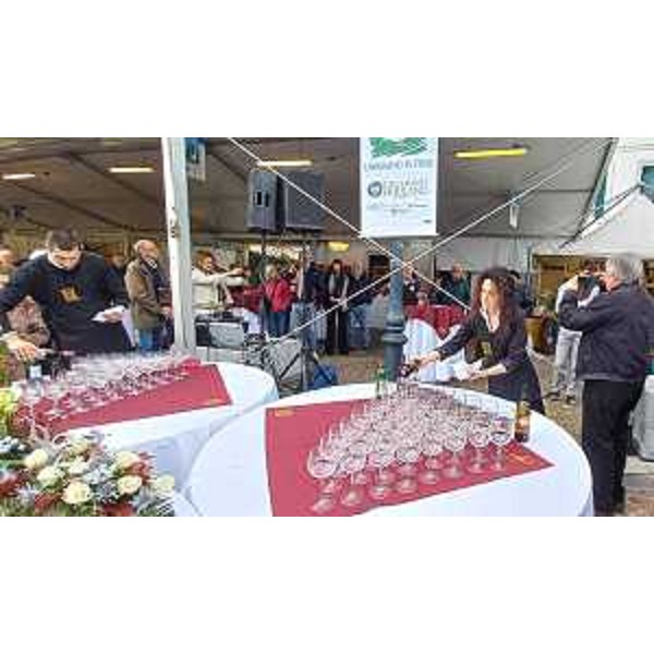 La preparazione dei bicchieri per il brindisi con il vin novello a Lavariano - La preparazione dei bicchieri per il brindisi con il vin novello a Lavariano