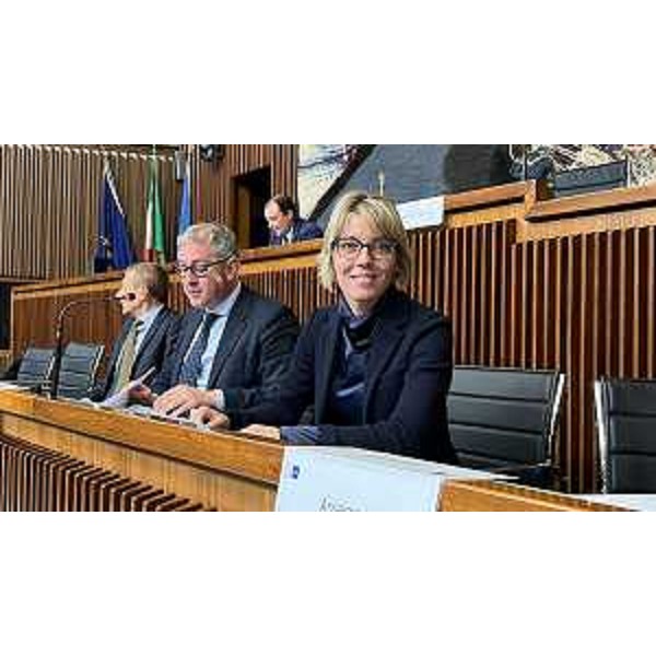 L'assessore regionale alle Finanze Barbara Zilli - L'assessore regionale alle Finanze Barbara Zilli