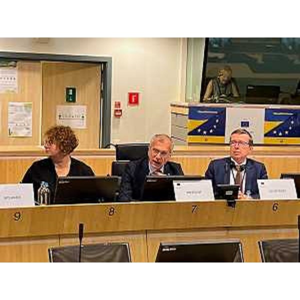 Il presidente del Cr Fvg, Piero Mauro Zanin, mentre presiede la commissione Civex del CdR - Il presidente del Cr Fvg, Piero Mauro Zanin, mentre presiede la commissione Civex del CdR