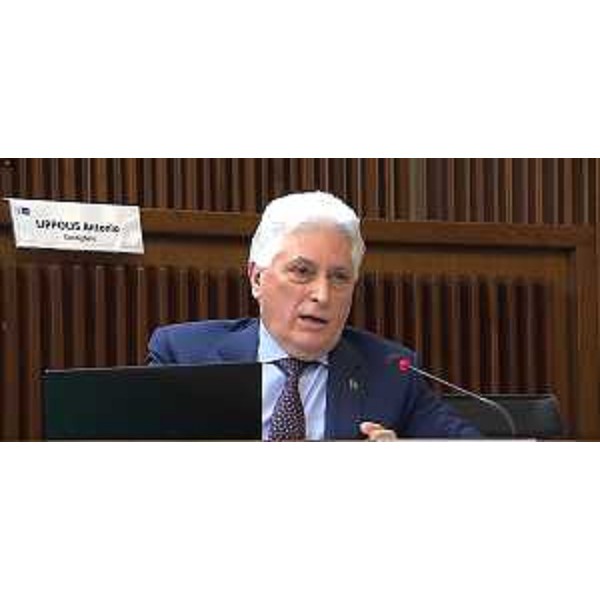 Franco Mattiussi (Forza Italia) - Franco Mattiussi (Forza Italia)