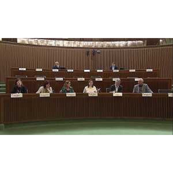 Cinzia Scheriani, Pavlina Dyulgerova, Anna Pili, Elena Benedetti, Massimiliano Panizzut - Cinzia Scheriani, Pavlina Dyulgerova, Anna Pili, Elena Benedetti, Massimiliano Panizzut