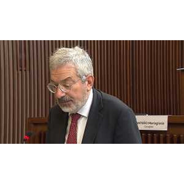 Furio Honsell (Open Fvg) - Furio Honsell (Open Fvg)