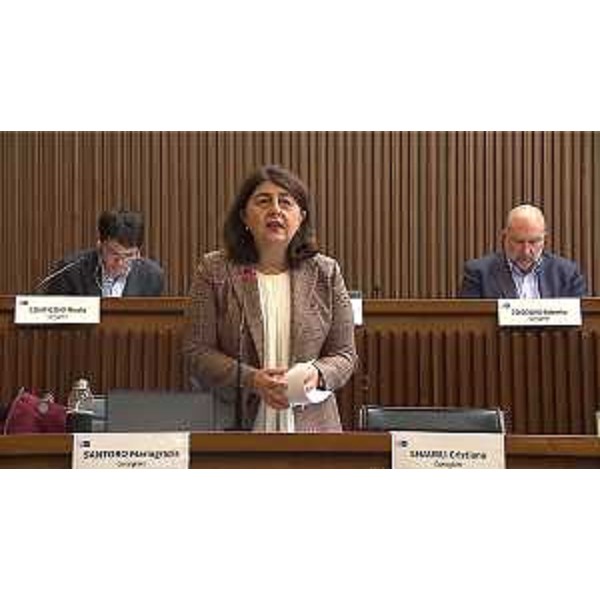 Mariagrazia Santoro (Pd) - Mariagrazia Santoro (Pd)