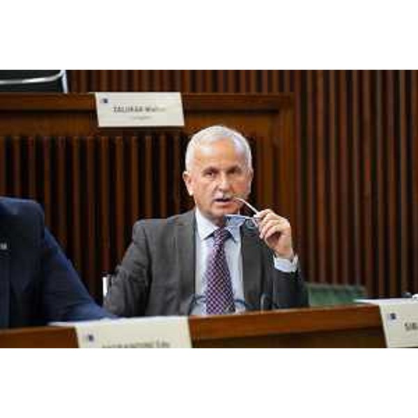 Giuseppe Sibau (PrFvg/Ar) - Giuseppe Sibau (PrFvg/Ar)