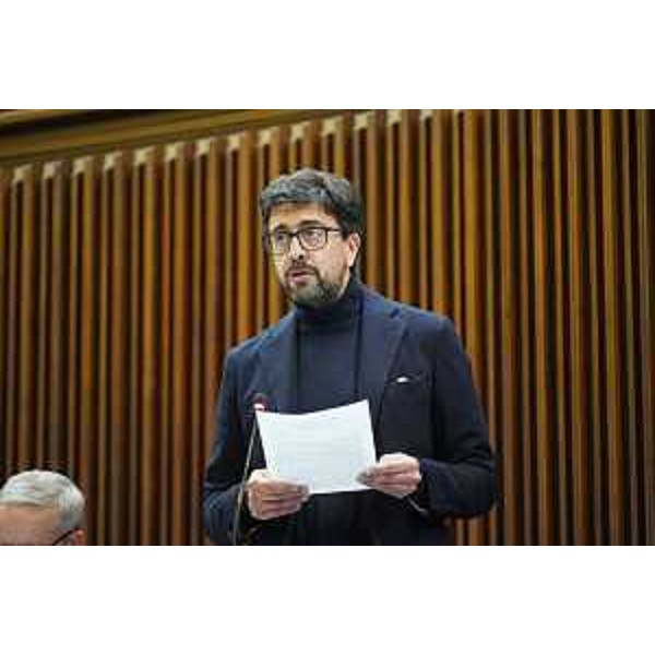 Mauro Capozzella (M5S) - Mauro Capozzella (M5S)