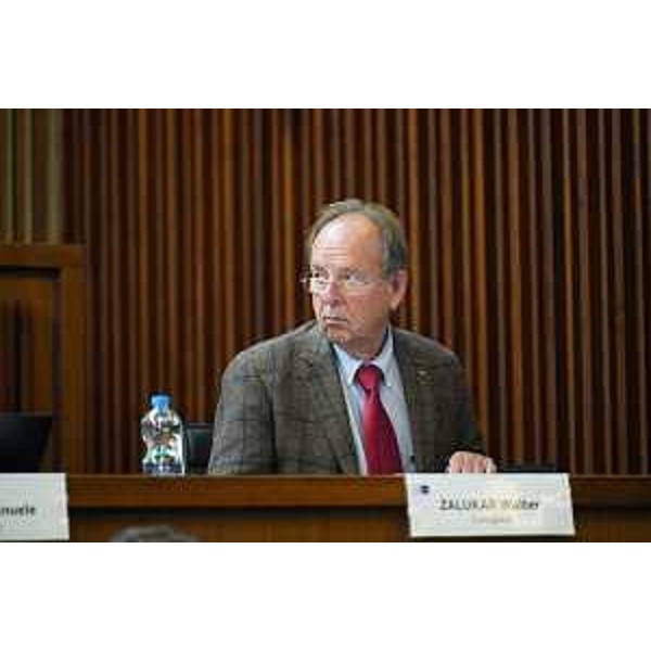 Walter Zalukar (Gruppo Misto) - Walter Zalukar (Gruppo Misto)