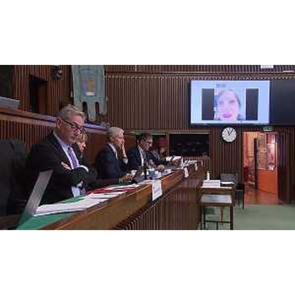 La presidente del Cal, Francesca Papais, in audizione - La presidente del Cal, Francesca Papais, in audizione