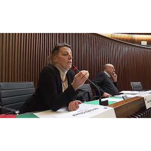 Chiara Da Giau (Pd), accanto al collega di gruppo Roberto Cosolini - Chiara Da Giau (Pd), accanto al collega di gruppo Roberto Cosolini