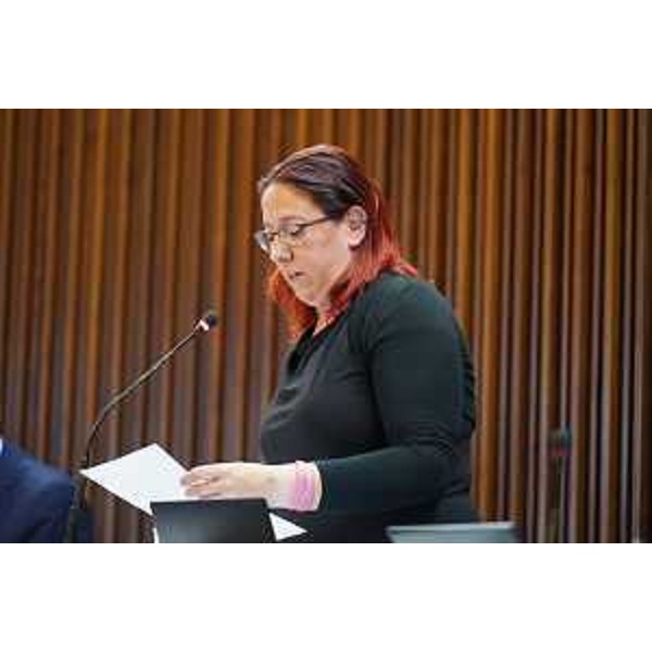 Ilaria Dal Zovo (M5S) - Ilaria Dal Zovo (M5S)