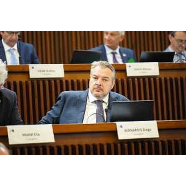 Diego Bernardis (Lega) - Diego Bernardis (Lega)