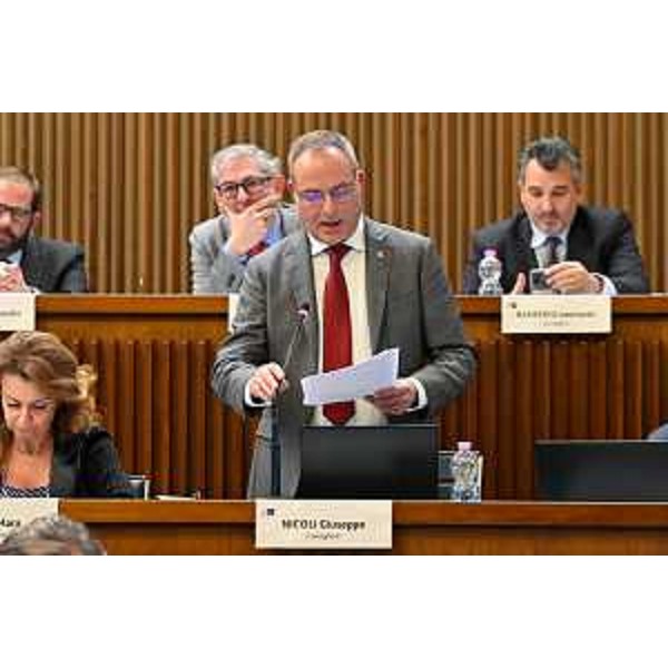 Giuseppe Nicoli (FI) - Giuseppe Nicoli (FI)