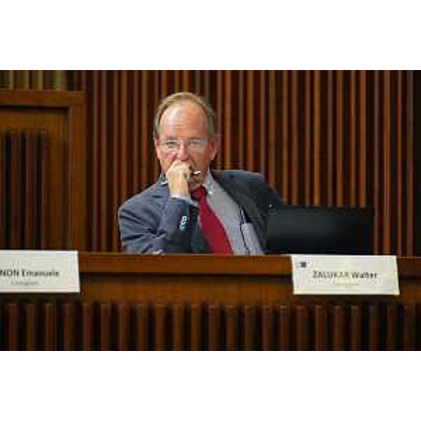 Walter Zalukar (Gruppo Misto) - Walter Zalukar (Gruppo Misto)