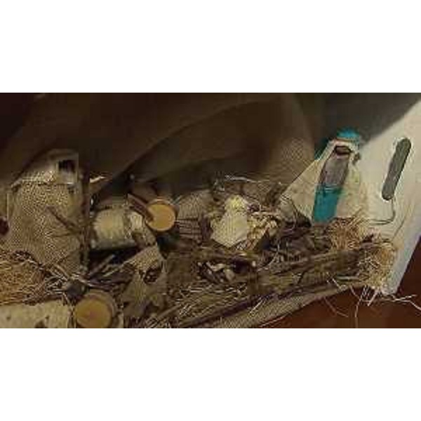 Una delle opere esposte - Una delle opere esposte