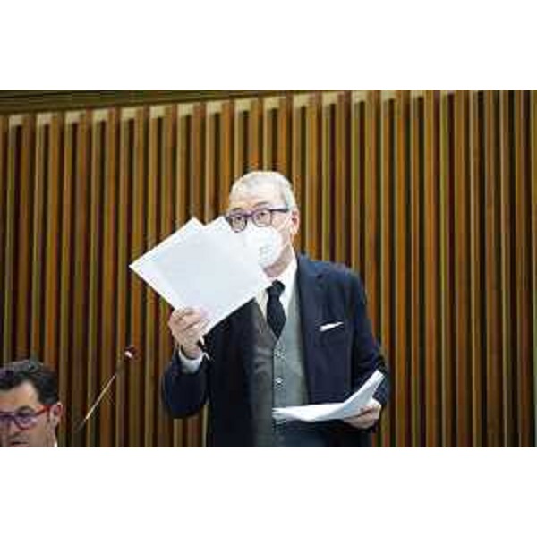 Sergio Bolzonello (Pd) - Sergio Bolzonello (Pd)