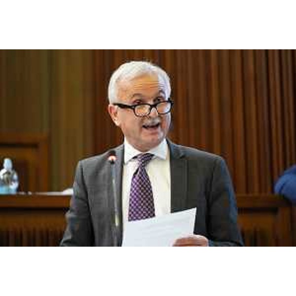 Giuseppe Sibau (PrFvg/Ar) - Giuseppe Sibau (PrFvg/Ar)