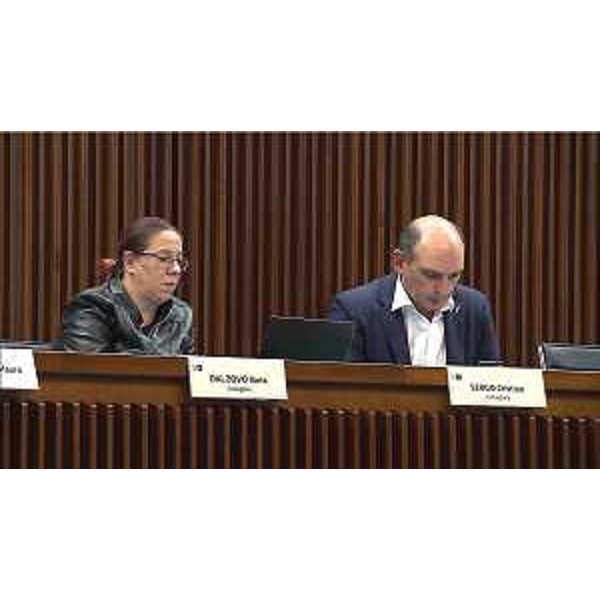 Ilaria Dal Zovo e Cristian Sergo (M5S) - Ilaria Dal Zovo e Cristian Sergo (M5S)