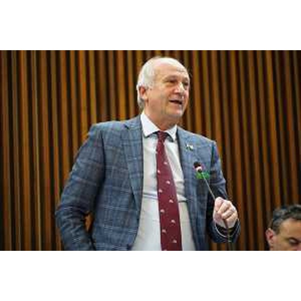 Alfonso Singh (Lega) - Alfonso Singh (Lega)