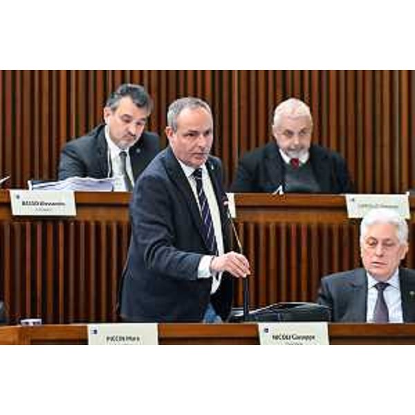 Giuseppe Nicoli e Franco Mattiussi (FI) - Giuseppe Nicoli e Franco Mattiussi (FI)