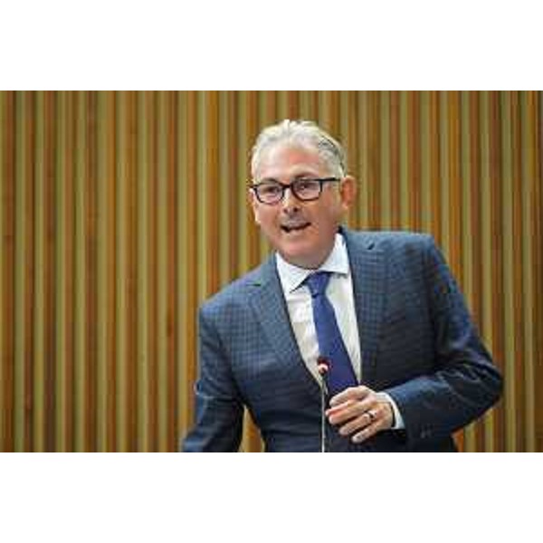 Alessandro Basso (FdI) - Alessandro Basso (FdI)