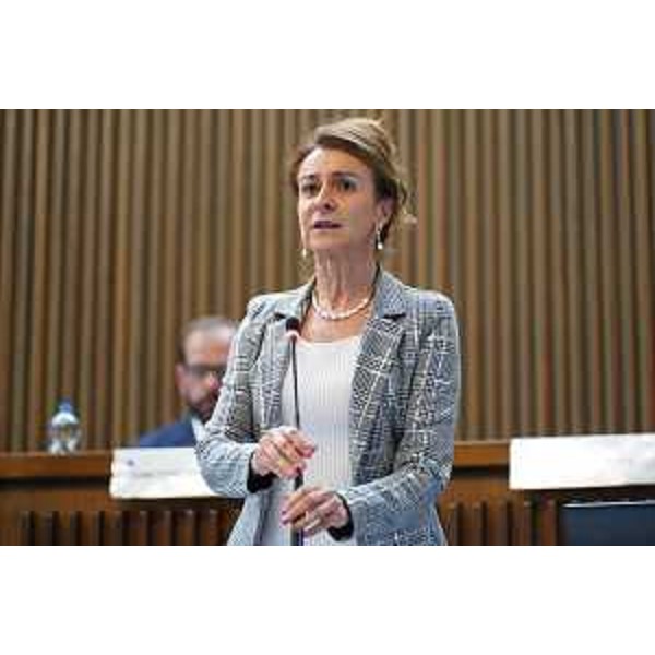 Mara Piccin (Forza Italia) - Mara Piccin (Forza Italia)