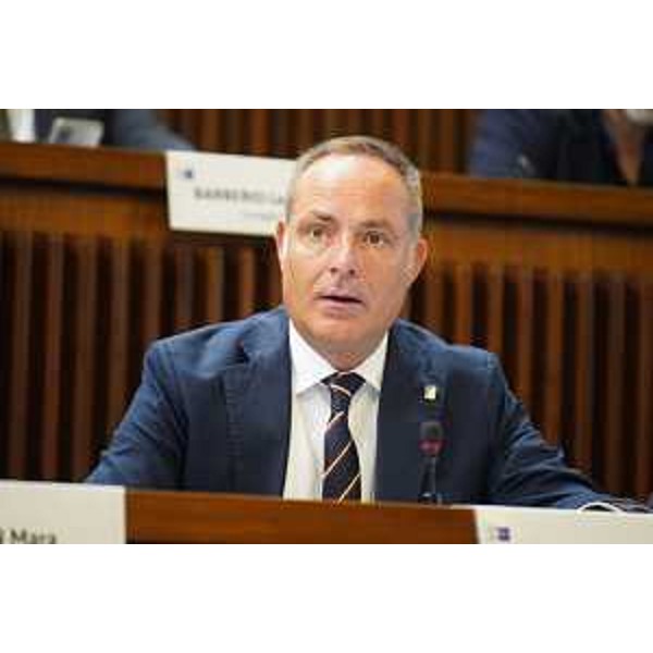 Giuseppe Nicoli (Polo liberale) - Giuseppe Nicoli (Polo liberale)