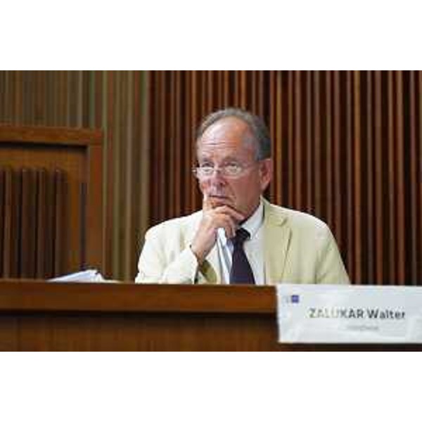 Walter Zalukar (Polo liberale) - Walter Zalukar (Polo liberale)