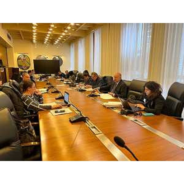 Il Comitato Lcv riunito a Trieste sotto la presidenza di Roberto Cosolini (Pd) - Il Comitato Lcv riunito a Trieste sotto la presidenza di Roberto Cosolini (Pd)