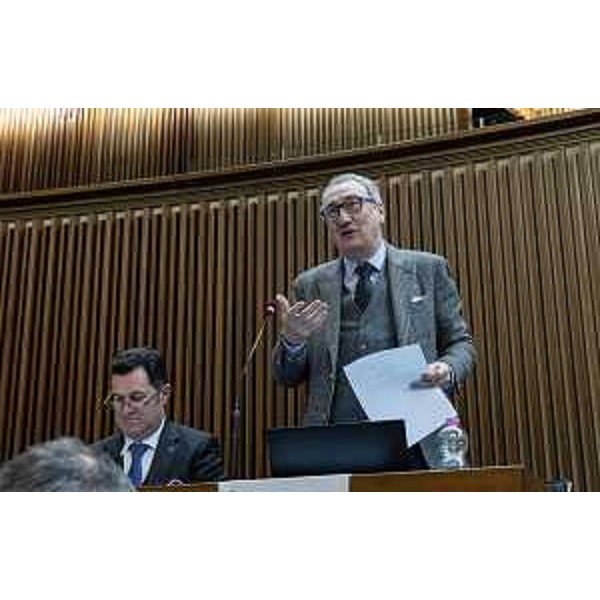 Sergio Bolzonello (Pd) - Sergio Bolzonello (Pd)