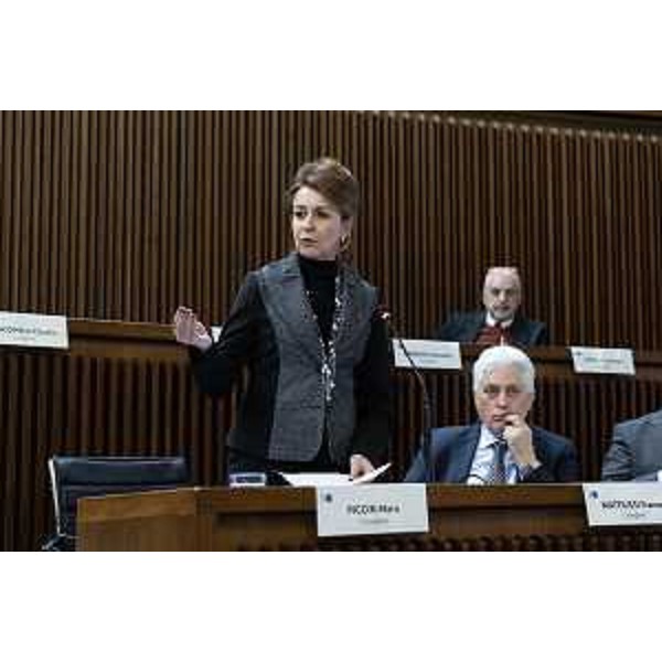 Mara Piccin (FI) - Mara Piccin (FI)