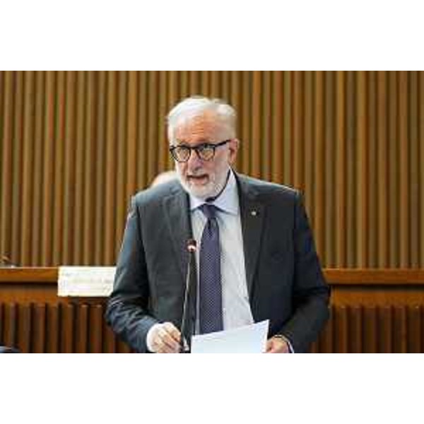 Emanuele Zanon (Polo Liberale) - Emanuele Zanon (Polo Liberale)