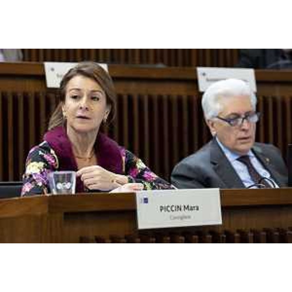 Mara Piccin (Forza Italia) accanto al capogruppo Franco Mattiussi - Mara Piccin (Forza Italia) accanto al capogruppo Franco Mattiussi