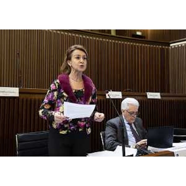 Mara Piccin (FI) - Mara Piccin (FI)