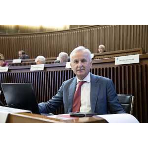 Giuseppe Sibau, (Progetto Fvg/AR) - Giuseppe Sibau, (Progetto Fvg/AR)