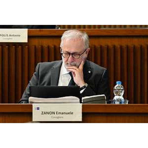 Emanuele Zanon (Polo Liberale) - Emanuele Zanon (Polo Liberale)