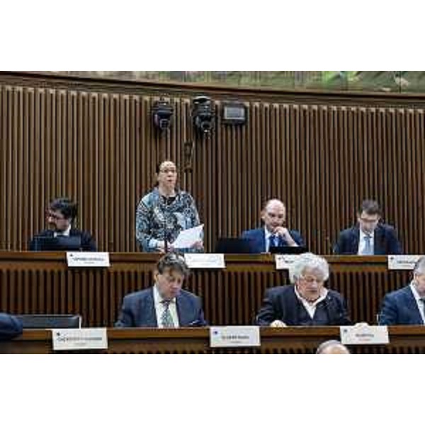 Ilaria Dal Zovo (M5S) interviene in Aula - Ilaria Dal Zovo (M5S) interviene in Aula