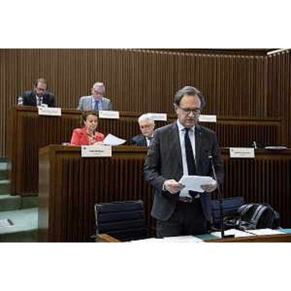 Mauro Di Bert (Progetto Fvg/Ar) - Mauro Di Bert (Progetto Fvg/Ar)