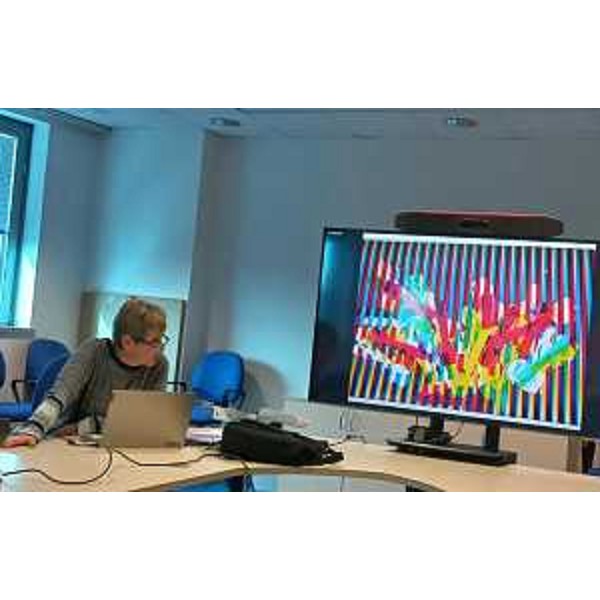 Emanuela Biancuzzi commenta una delle opere di Ciani, presentate attraverso una serie di slide - Emanuela Biancuzzi commenta una delle opere di Ciani, presentate attraverso una serie di slide