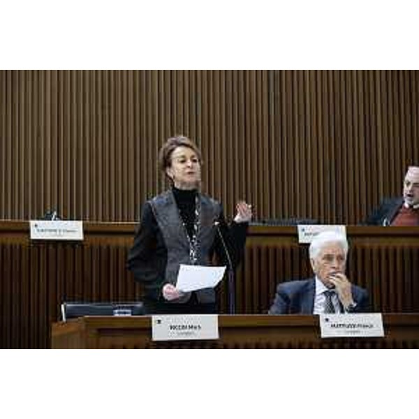 Mara Piccin e Franco Mattiussi (FI) - Mara Piccin e Franco Mattiussi (FI)