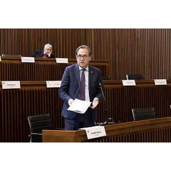 Mauro Di Bert (Progetto Fvg/Ar) - Mauro Di Bert (Progetto Fvg/Ar)