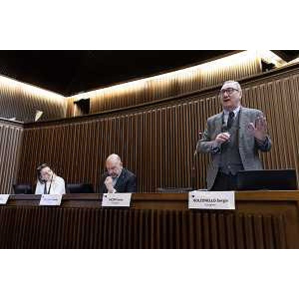 Sergio Bolzonello (Pd) - Sergio Bolzonello (Pd)