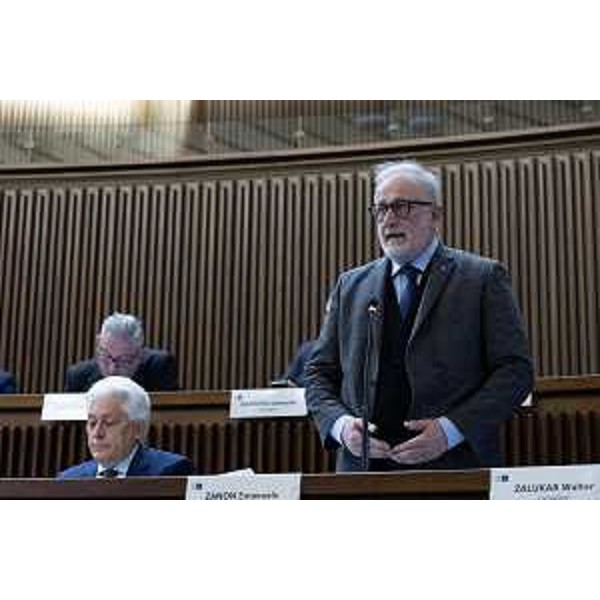 Emanuele Zanon (Polo Liberale) - Emanuele Zanon (Polo Liberale)