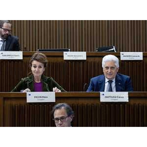 Mara Piccin e Franco Mattiussi (Forza Italia) - Mara Piccin e Franco Mattiussi (Forza Italia)